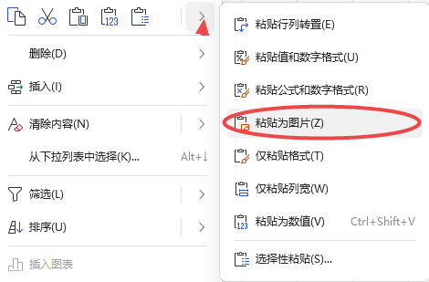 粘贴为图片