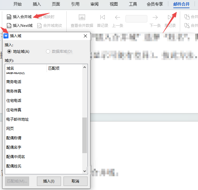 插入合并域